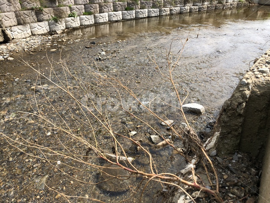 내천,물,강,흐르는,시골,하천,시냇물,돌,가을,자연,풍경,자연,풍경,nature,landscape,ground,바닥