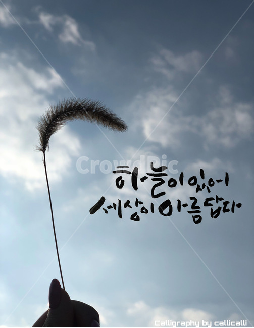 캘리그라피,캘리그래피,하늘,강아지풀,sky,calligraphy