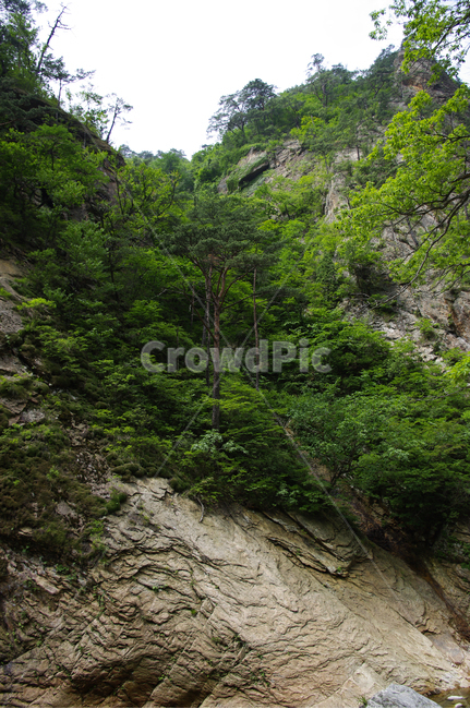 산,바위,암석,풍경,나무,설악산,자연,풍경,nature,landscape,outdoors,옥외,cliff,낭떠러지