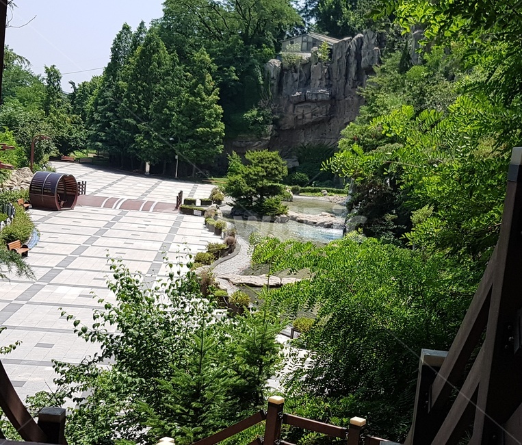 도화동,수봉공원,나무,길,인천