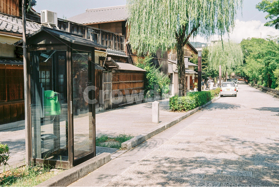 green,Japanese house,japan,tree,summer,building,film photography,Payphone,street,plant,road name,Japanese sensibility,film camera