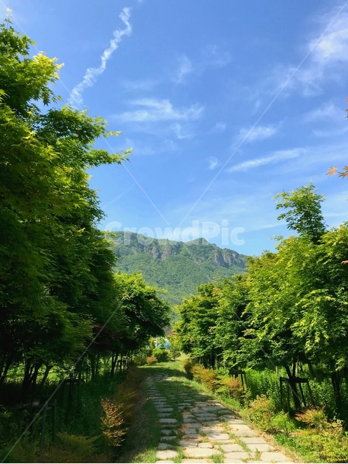 산,자연,풍경,화창,초록색,자연,풍경,nature,landscape,outdoors,옥외,road,도로