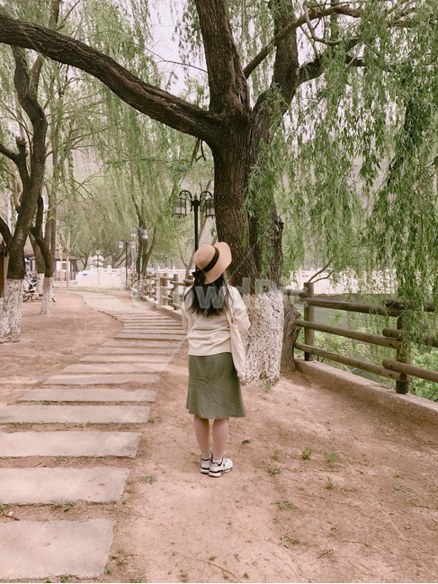 자연,나무,분위기,봄,여행,중국,버드나무,필터,뒷모습,여자,사람,인물,인간,human,person,여성,여자,woman,female,lady