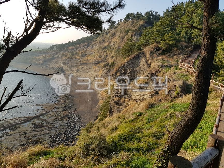 제주올레길10코스,송악산,제주도,송악공원,송악목장,tree,나무,plant,식물,nature,자연,outdoors,옥외