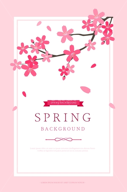 매화,꽃,식물,가지,봄,팝업,이벤트,쇼핑,봄,계절,spring,season,그래픽,일러스트레이션,graphic,illustration