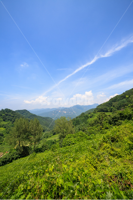 시골풍경,농촌,여름,환경,날씨,나무,구름,풍경,경치,자연,풍경,nature,landscape,outdoors,옥외,hill,언덕
