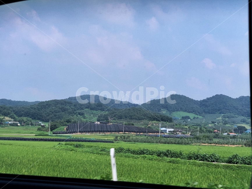 자연,field,들,outdoors,countryside,grassland,들판,풍경,도로,시골,마을,풍경,landscape,country,rural,town