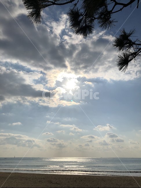 바다,하늘,해,낮,오션,sea,sun,sunrise,구름,자연,풍경,nature,landscape,outdoors,옥외