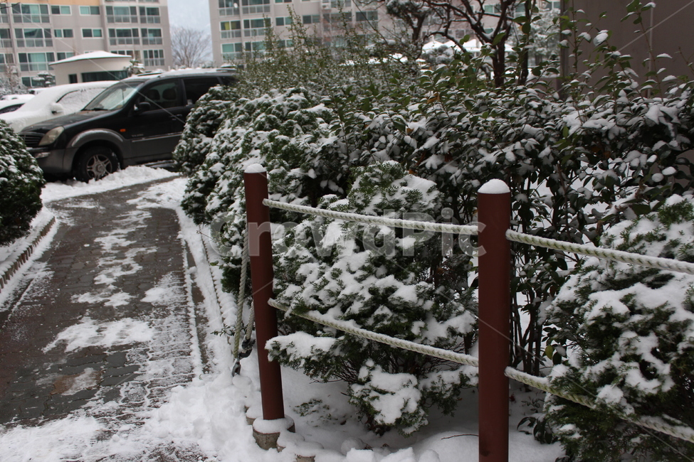 겨울,눈,snow,풍경,landscape,snowing,winter,겨울아침