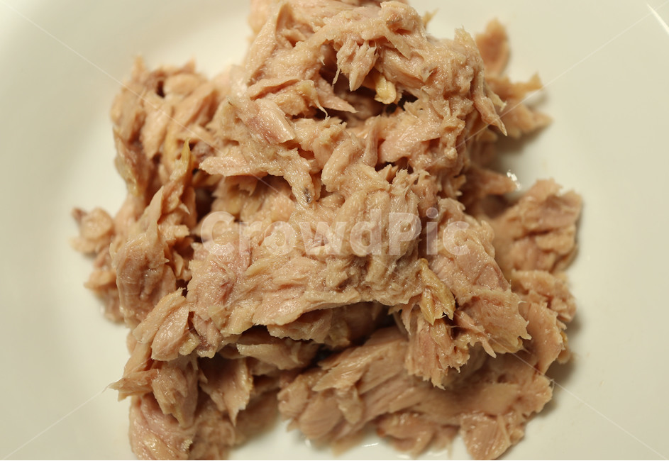 참치,참치캔,수산물,참치살,캔참치
