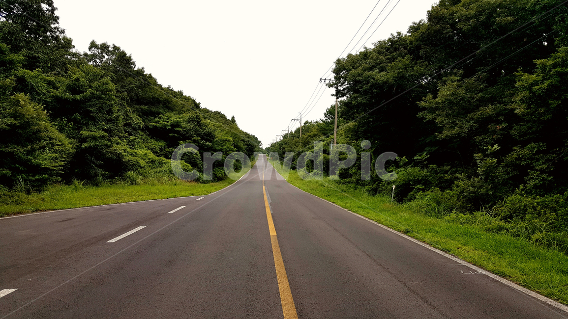 도로,아스팔트,가로수,직진,자동차,자연,풍경,nature,landscape,road,highway,고속도로,freeway,고속 도로,asphalt