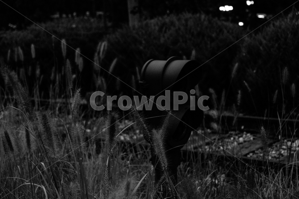풀,grass,강아지풀,철도,철길,trainway,흑백,모노톤,monochrome,black and white