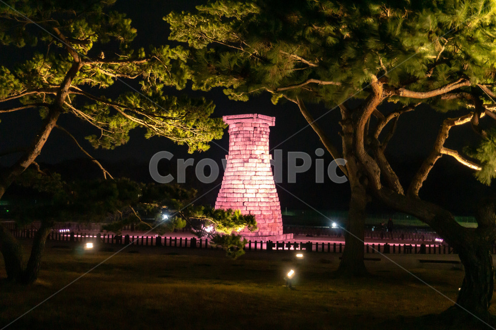 경주,첨성대,야간,랜드마크,풍경,소나무,관광지,야경,밤,풍경,nightscape,night,landscape,랜드마크,landmark,tourist attraction,한국랜드마크,한국관광지,한국명소,korea landmark,korea tourist attraction