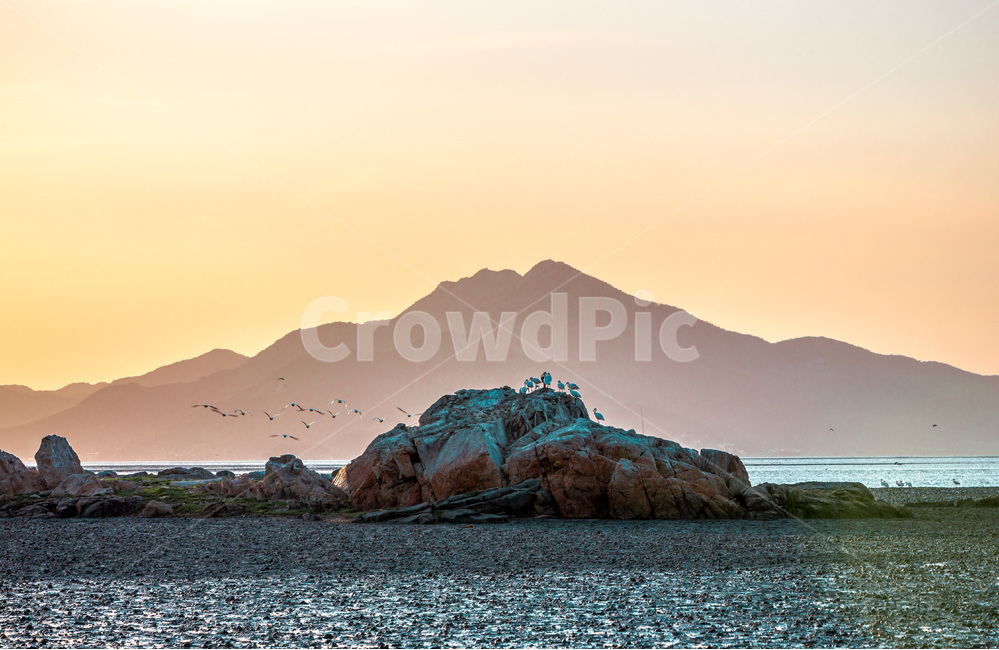 영흥도,갯벌,철새,풍경,바닷가,섬,낙조,석양,황혼,자연,풍경,nature,landscape,한국자연풍경,한국자연경관,korea nature landscape,outdoors,옥외,land,땅,shoreline,해안선,water,물,ocean,대양,sea,바다,promontory,곶,coast,연안,island