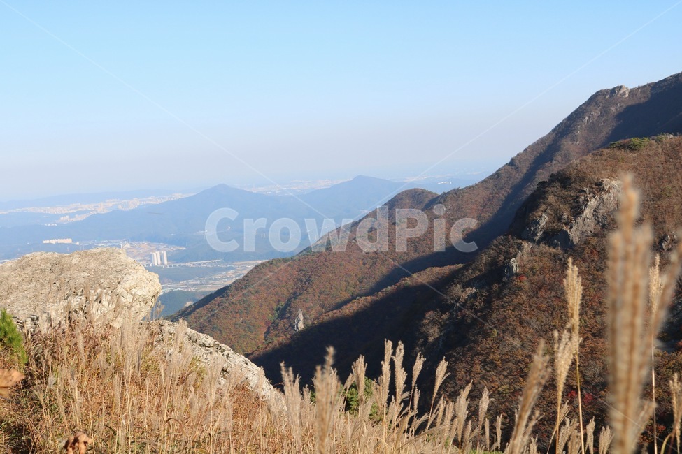 정상,하늘,갈대,구름,파랑,가을,계절,fall,autumn,season