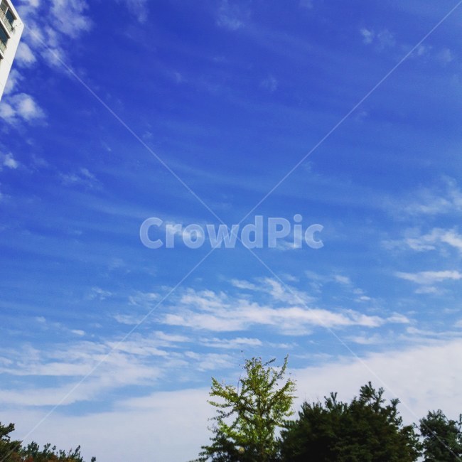 자연,하늘,나무,옥외,구름,cloud,sky,자연,풍경,nature,landscape