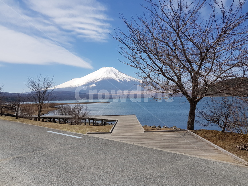 후지산,눈덮힌후지산,후지산호수,후지산야마나카호,겨울후지산,후지산눈,하늘,맑은하늘,파란하늘,물,눈,호수,산,나무,구름,겨울산
