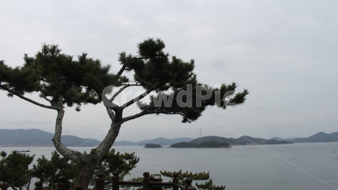nature,나무,tree,나라,자연,물,바다