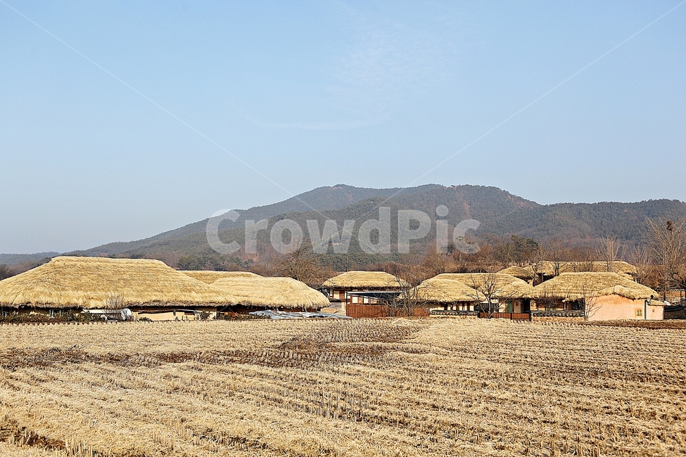 하회마을,초가집,초가,집,전통집,민속집,건물,자연,풍경,겨울,시골,마을,풍경,landscape,country,rural,town