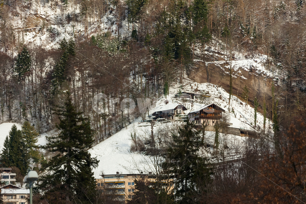 스위스,겨울,알프스산맥,눈덮인,건물,얼음,눈,산,겨울,계절,winter,season,자연,풍경,nature,landscape,해외,외국,세계,foreign,oversea,world,세계자연풍경,해외자연풍경,외국자연풍경,world nature landscape,outdoors,옥외,tree,나무,plant,식물,abies,아비,fir,전나무,building,housing,주택