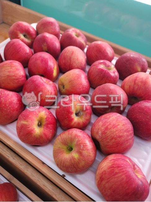 red,apple,honey apple,crunchy,hongro,hanpan,adverb