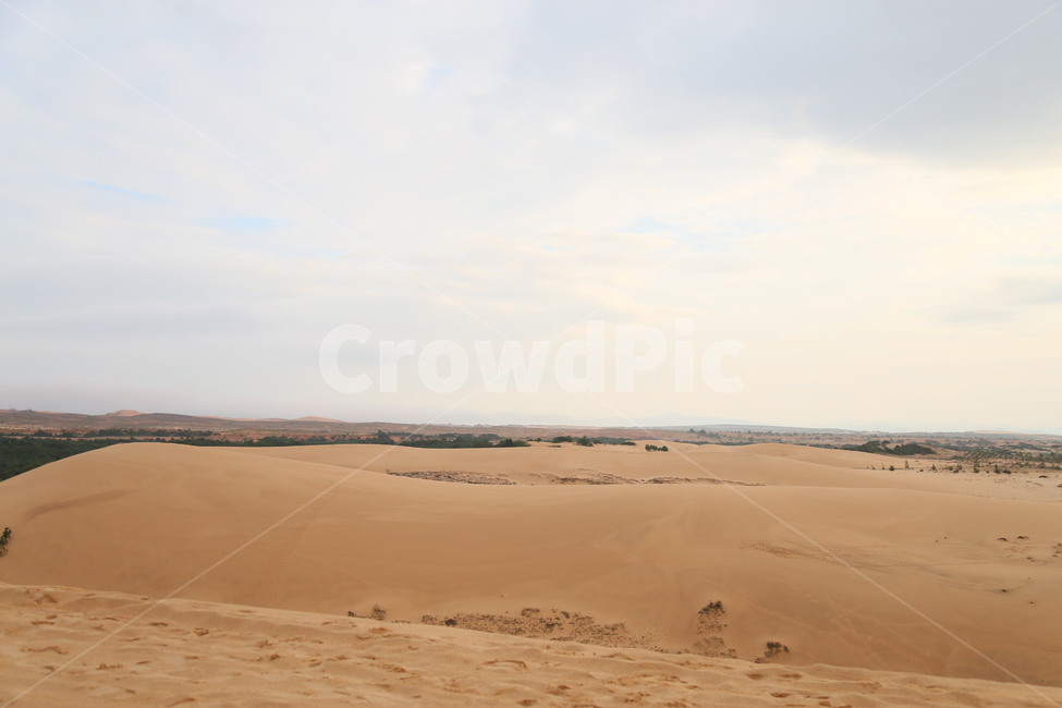 nature,자연,sand,모래,dune,모래언덕,관광지,사막,desert