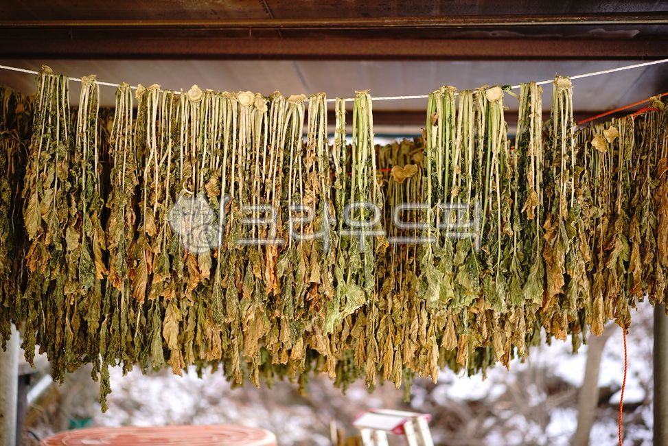 식재료,시래기,건조식품,무청,자연건조,식품,organic,웰빙,시골,전통
