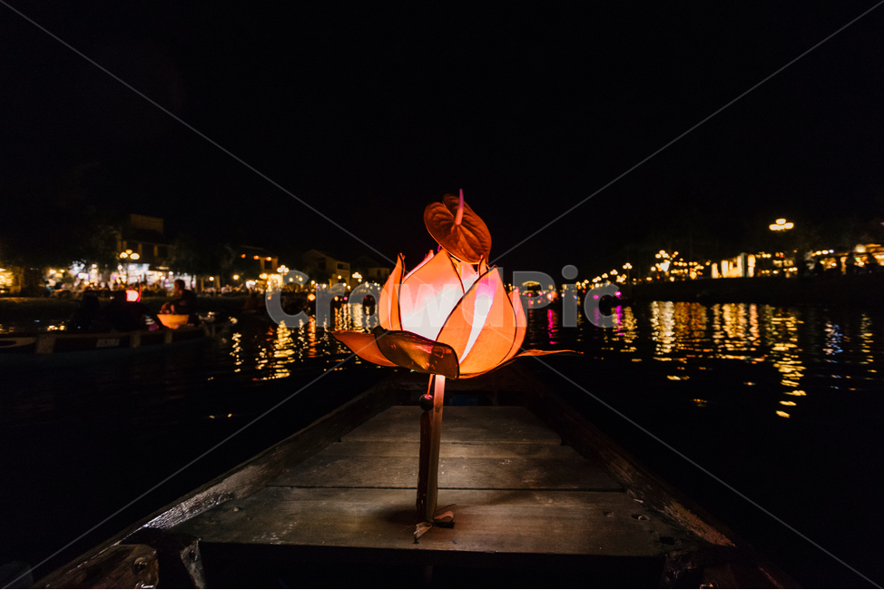 연꽃,조명,배,로맨틱,돛단배조명,분위기,풍경,밤,야경,밤,풍경,nightscape,night,landscape,banister,난간,handrail,railing,water,물,waterfront,워터 프론트