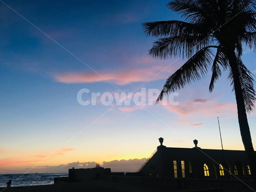 nature,자연,하와이,hawaii,sunset,색감예쁜,하늘,sky,붉은,야자수,palmtree,예쁜배경,감동적인,노을,밤하늘,석양,여름,휴양지,island