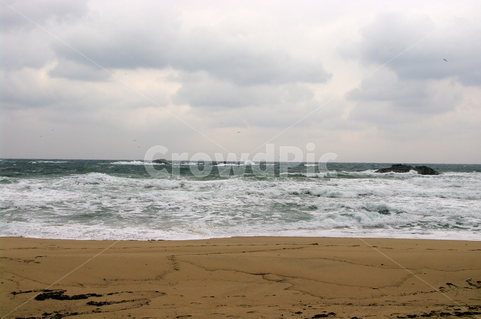 겨울,바다,풍경,하늘,해변,해변,바다,beach,sea