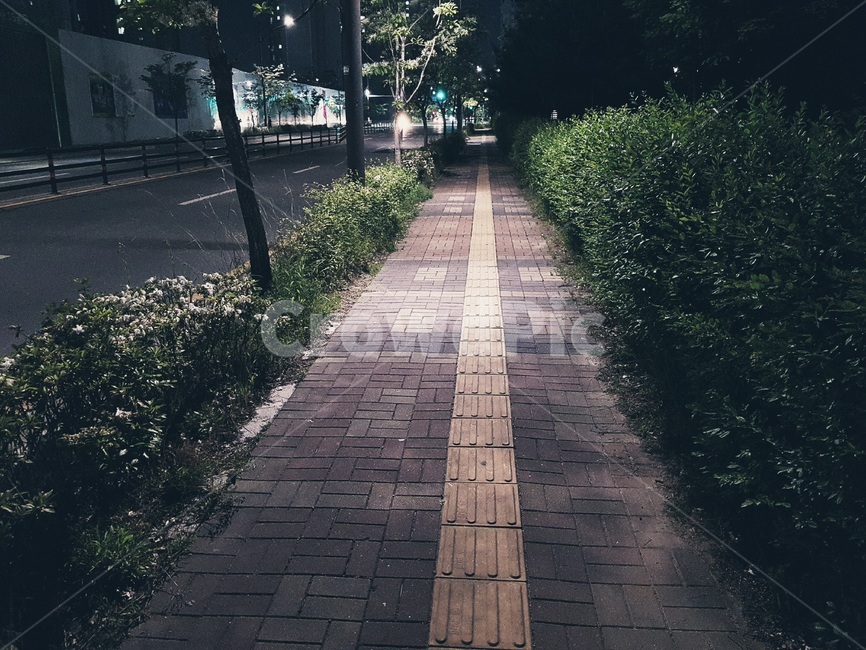 야경,밤,산책길,길,어둠,감성,느낌,feel,가로등,풍경,자유로움,밤공기,나홀로,감정
