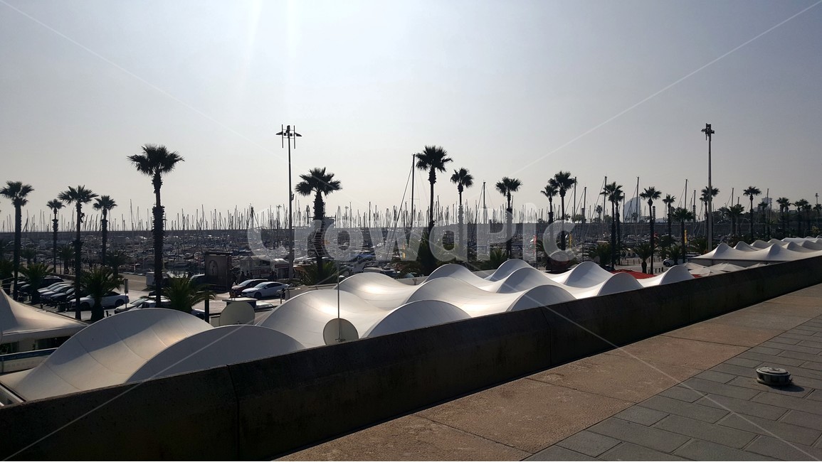 항구,거리,낮,여름바다,야자나무,바다,도시,풍경,city,landscape,해외,외국,세계,foreign,oversea,world,세계도시풍경,해외도시풍경,외국도시풍경,world cityscape