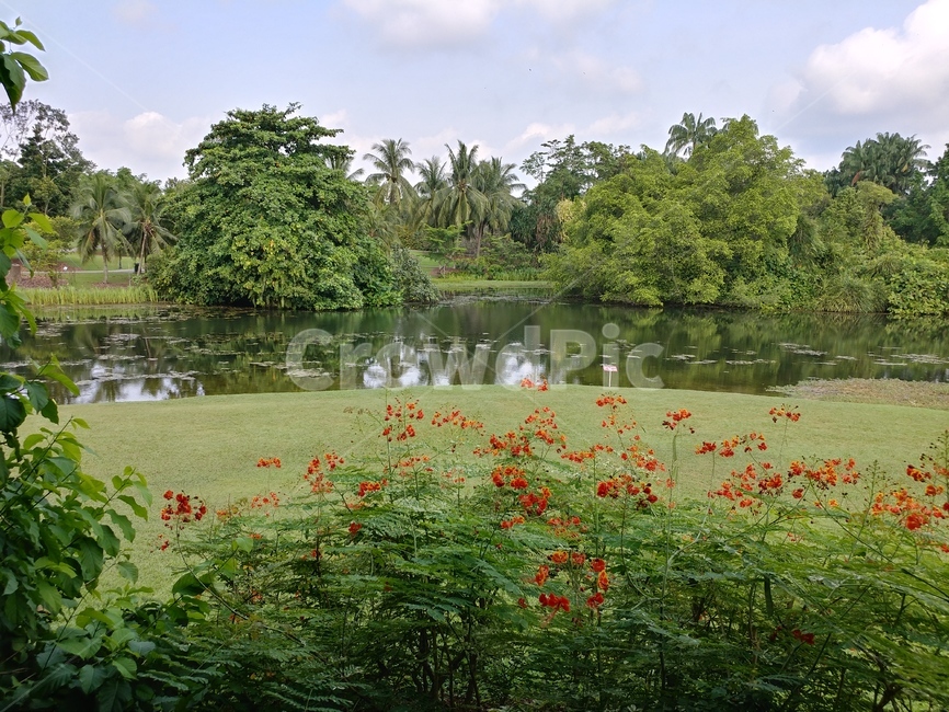 풍경,자연,연못,나무,꽃,자연,풍경,nature,landscape,water,물,land,땅,outdoors,옥외