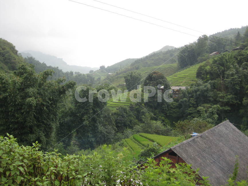 동남아,nature,자연,outdoors,옥외,grassland,목초지,field,들,countryside,시골,다랭이논