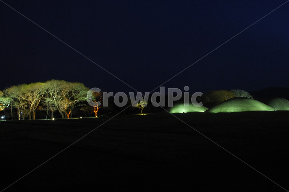 경주,야경,나무,빛,자연,야경,밤,풍경,nightscape,night,landscape