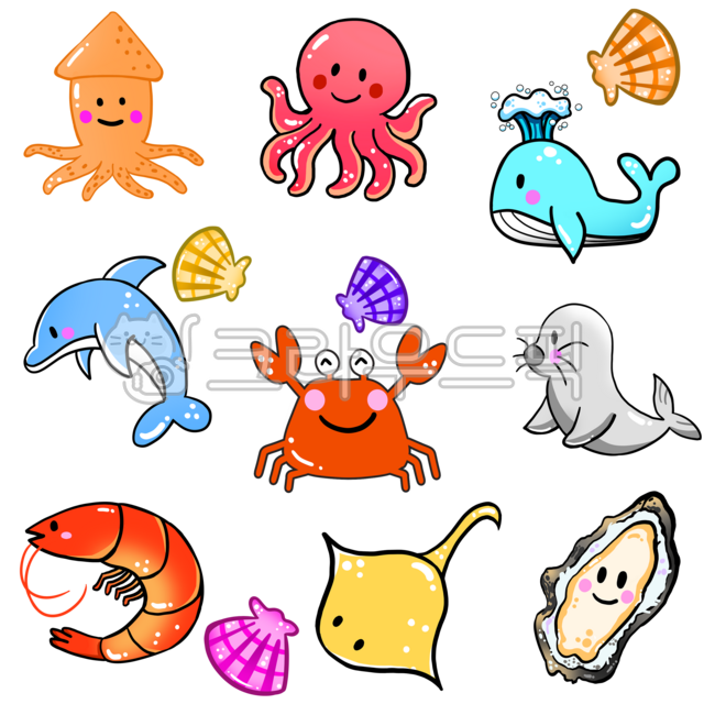 Squid,octopus,cuttlefish,whale,dolphin,crab,sea,sea animals,sea animals,under the sea,sea creatures,shellfish,shrimp,rays,oysters,seals,aquarium,character,fish,seafood,fish,animal