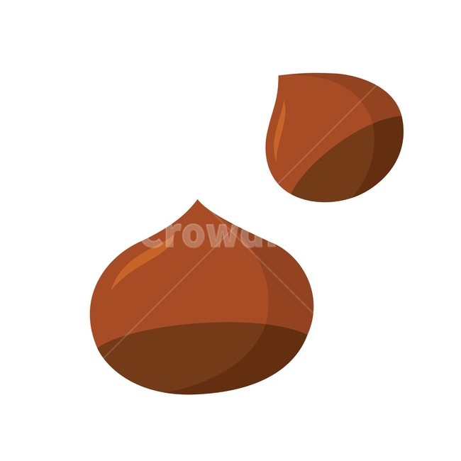 밤,알밤,열매,가을,자연,식물,음식,autumn,fall,견과류,갈색,일러스트,디자인,food,brown,design,graphic,seed,illustration,nuts,가을,계절,fall,autumn,season,음식,식재료,요리,food,cook,meal,dishes,food reserves,과일,열매,fruit,그래픽,일러스트레이션,graphic,illustration