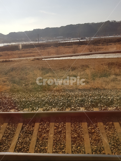 철도,기찻길,레일,rail,들판