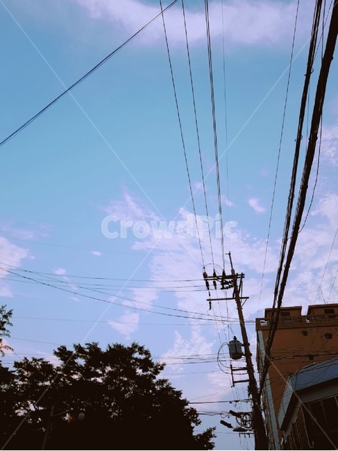 하늘,나무,날씨,맑음,sky,tree,sunny