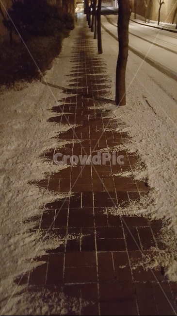 눈길,눈,겨울,새벽눈길,눈청소