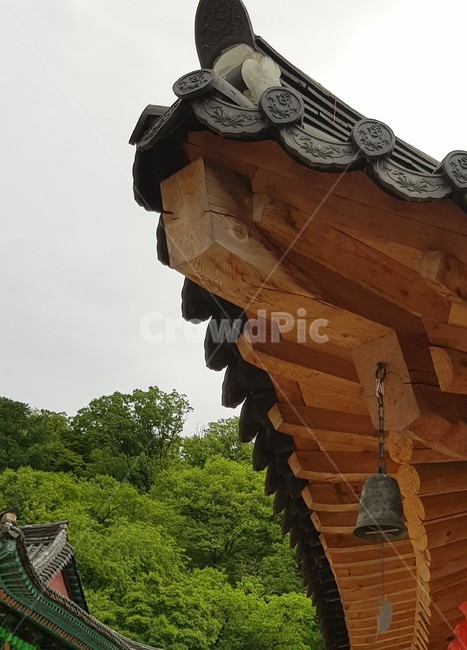 풍경,산사,그리움,wood,나무