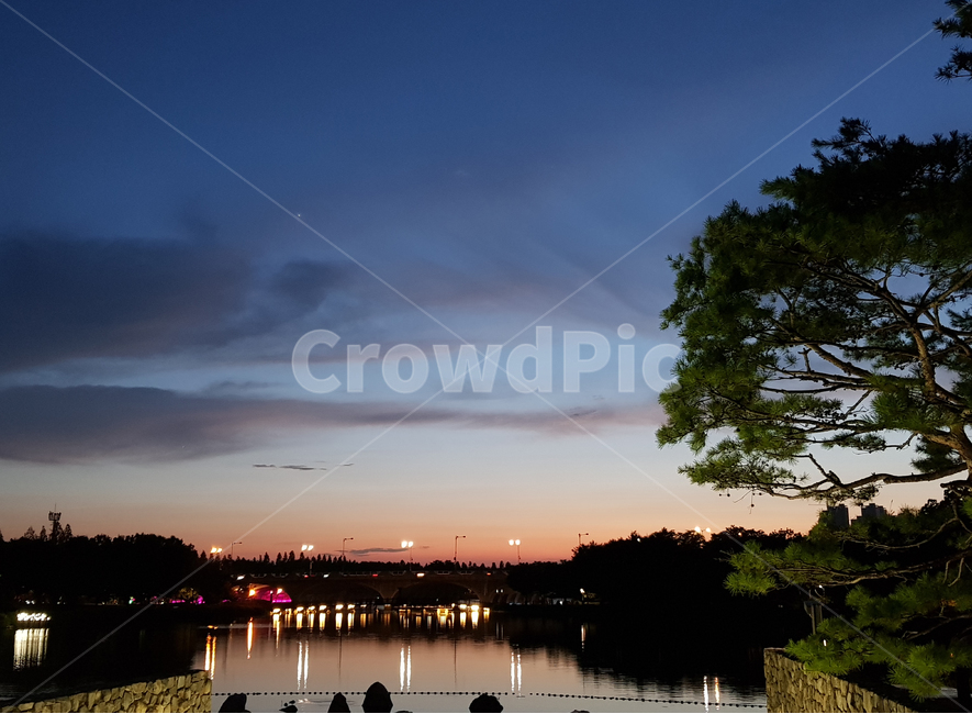 야경,풍경,노을,선셋,나무,호수,다리,석양,해질녘,공원,밤,자연,nightscape,nature,lake,bridge,sunset,landscape,tree,park,lakepark,blue,자연,풍경,nature,landscape,야경,밤,nightscape,night,water,물,waterfront,워터 프론트
