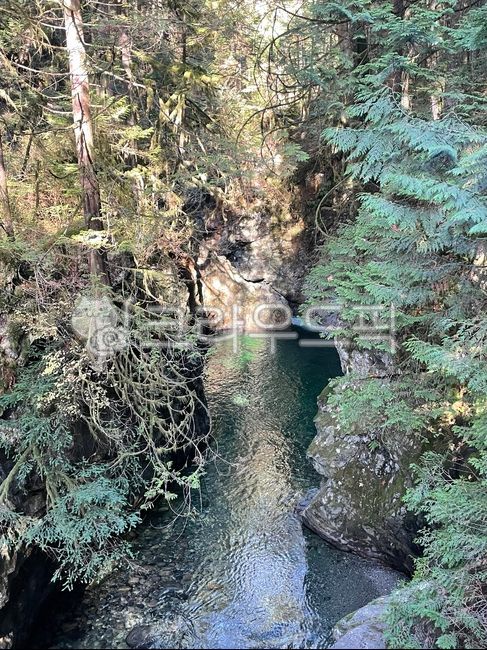 rock,nature,vegetation,rainforest