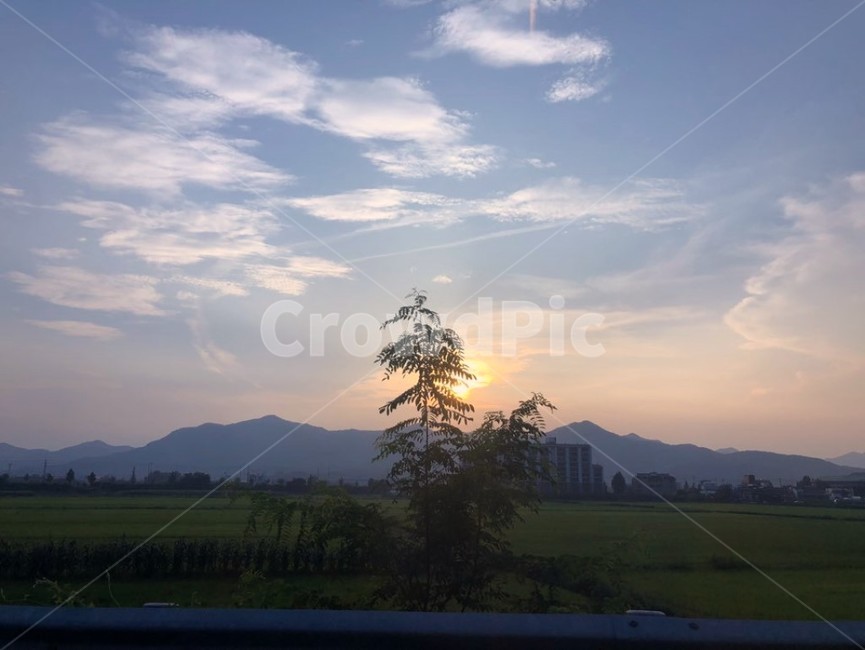 나무,석양,순간포착,그림자,하늘,풍경,배경,산