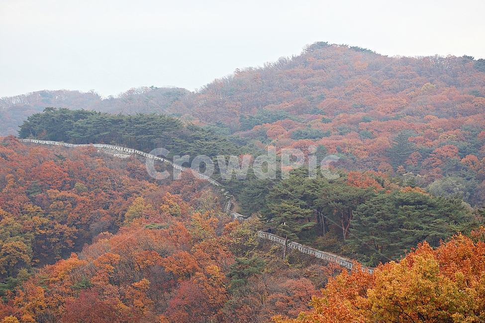 남한산성,성,성곽,단풍,낙엽,길,둘레길,숲,숲길,담,돌담,가을,자연,풍경,벽,울긋불긋,산성,식물,가을,계절,fall,autumn,season