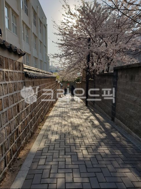 길,도시,보도,거리,돌담길