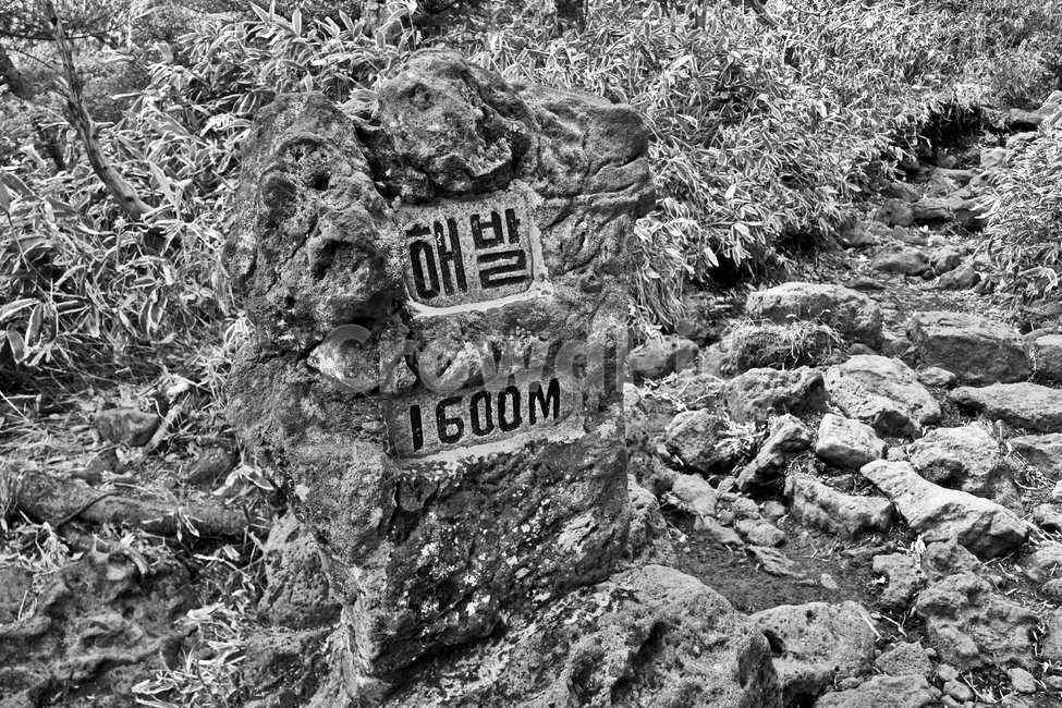 표지석,표시석,한라산,한라산국립공원,현무암,탐방로,제주도,등산로