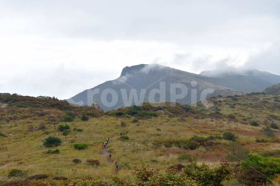 영축산,신불산,영남알프스가을,풍경,낙엽,명산,자연,비경,단풍나무,가을색,가을색채,가을풍경,운해,장관,구름,억새,영알,억새평전,mountain,landscape,자연,풍경,nature,landscape,한국자연풍경,한국자연경관,korea nature landscape,사람들,대중,군중,other people,crowd,스포츠,레저,운동,sports,leisure,exercise,outdoors,옥외,hill,언덕