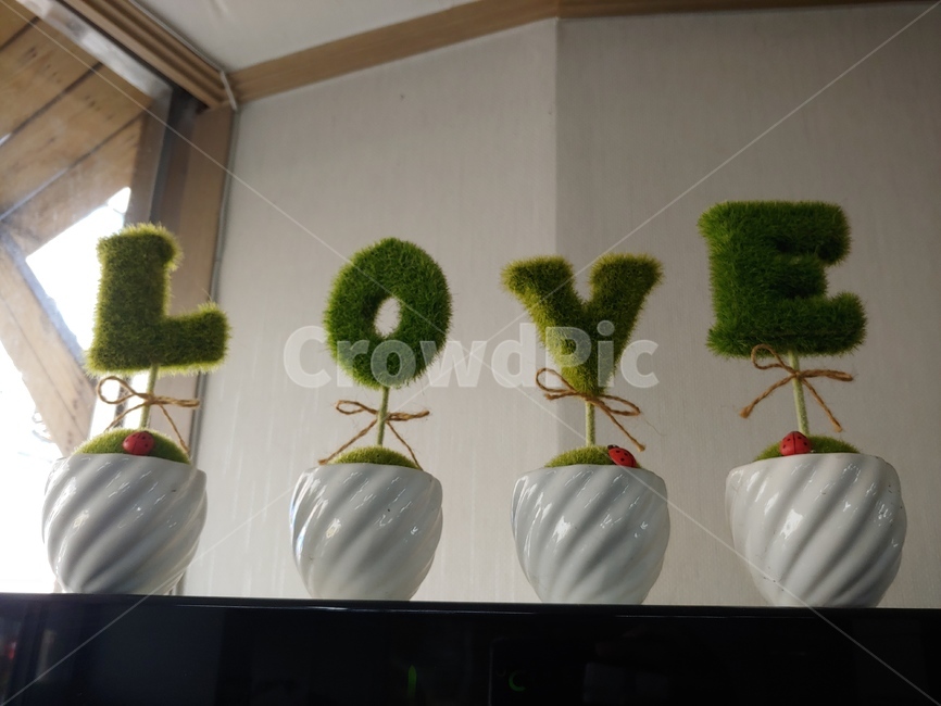 love,사랑,로맨스,연인,장식,행복,식물,자연,plants,nature,실내용화초,화분,화초,house plant,인테리어,실내디자인,interior design