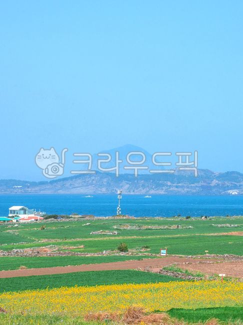 제주도,산방산,가파도,유채꽃,청보리,청보리밭,바다,제주,밭,jeju,sea,봄,nature,자연,식물,산,푸른,하늘,파란색,spring,초록색,blue,green,plant,sky,들,field